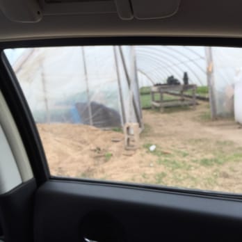 Carmichael's Produce - Fresh produce in Green House - Fruits & Veggies Near Me - Bixby, Oklahoma