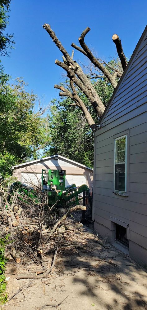 Lumberjack Toms Tree Removal - tree service in Wichita, KS