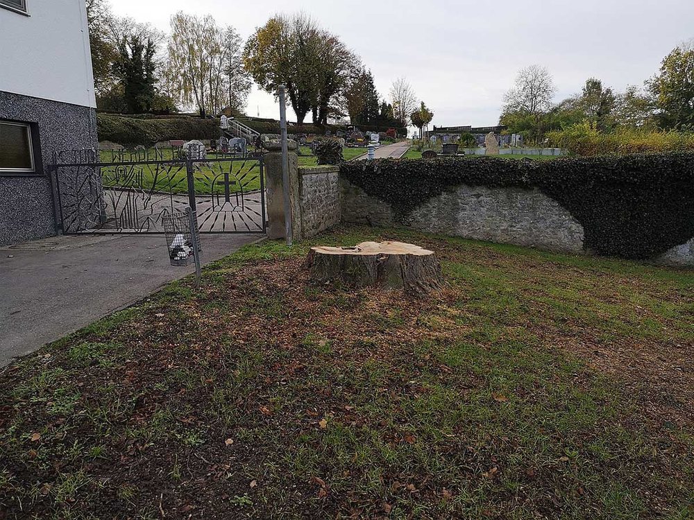 Robert's Stump Grinding - tree service in Jacksonville, FL