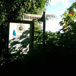 Sgelschule