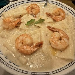 Rigatoni Al Fredo's with shrimp Rigatoni Al Fredo's with shrimp