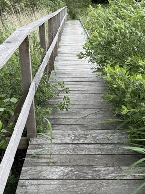 Bäckaskog Slott by null
