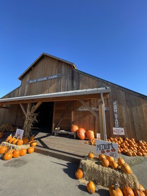 Blue House Farm Strawberry U-Pick and Farmstand by null