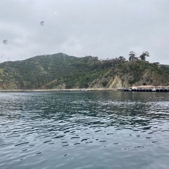 Catalina Island - 04.30.23 the island is just 22 miles long and 8 miles across. - Local Flavor Near Me Catalina Island - 04.30.23 the island is just 22 miles long and 8 miles across. - Local Flavor Near Me
