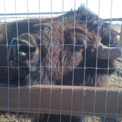 The Animal Education Center