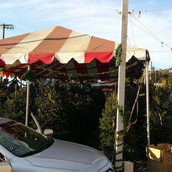 Tahoe Christmas Tree