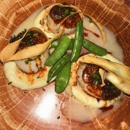 Scallops Scallops