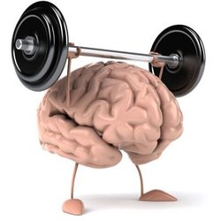 Nancy Loedy Brain Integration