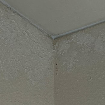 Pacific Drywall - Sloppy - Drywall Installation & Repair Near Me Pacific Drywall - Sloppy - Drywall Installation & Repair Near Me