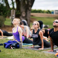 YoYoYogi - The best annual event:  Vinyasa in the Vineyards!