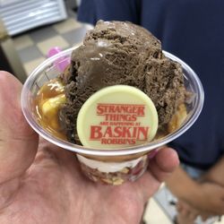 Baskin-Robbins - Upside Down Sundae