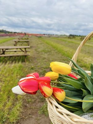 Burnside Farms by null