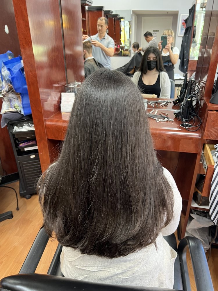 Hair Creations by Janie Logo