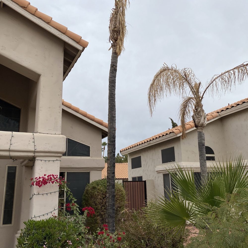 2 Hernandez Landscaping - Before - Landscaping Near Me 2 Hernandez Landscaping - Before - Landscaping Near Me