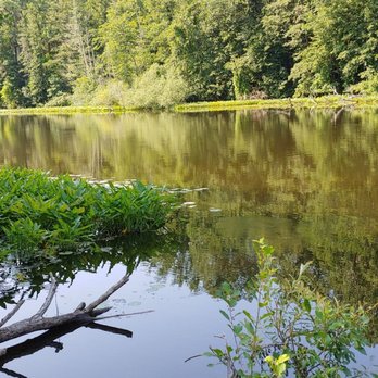 Barton Nature Area - Hiking Near Me - Ann Arbor, Michigan