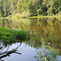 Barton Nature Area