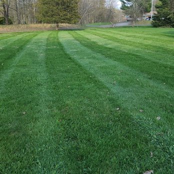 Northern Wolf Property Maintenance - a freshly mowed lawn - Lawn Services Near Me