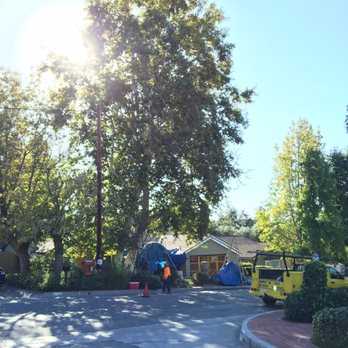 Family Tree Service - Landscaping Near Me Family Tree Service - Landscaping Near Me