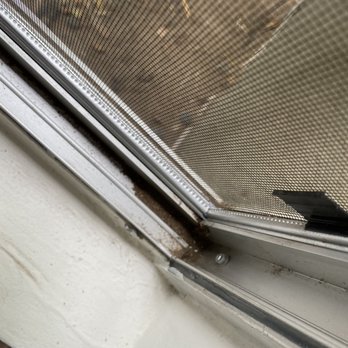 Falcon Window Washing - window track after cleaning - Window Washing Near Me Falcon Window Washing - window track after cleaning - Window Washing Near Me