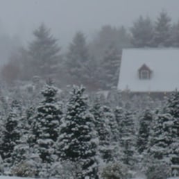 Kraxberger Farms in the winter.
