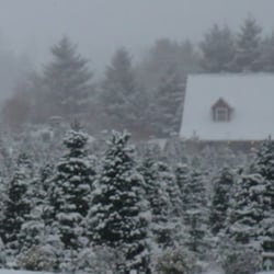 Kraxberger Farms - Kraxberger Farms in the winter.