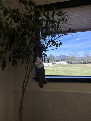 SoCal Dental of Agoura by null