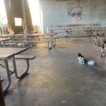 Lucky Labrador Brewing Co - Patio area - Brewpubs Near Me - Portland, Oregon Lucky Labrador Brewing Co - Patio area - Brewpubs Near Me - Portland, Oregon