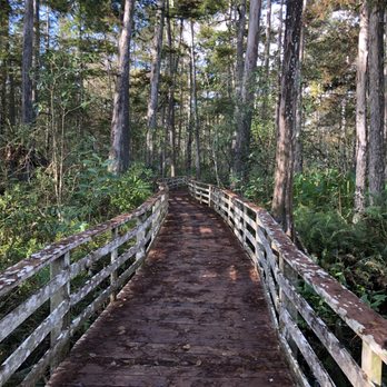 Audubon's Corkscrew Swamp Sanctuary - Hiking Near Me - Naples, Florida