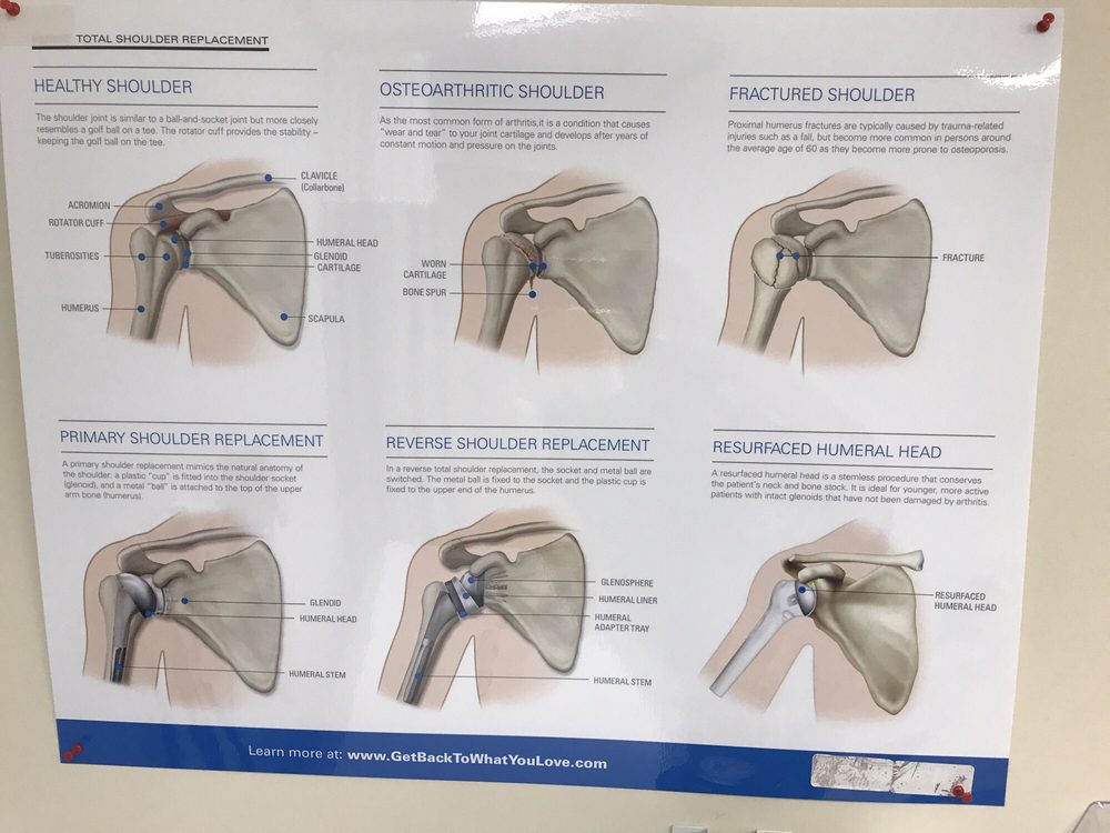 Stephanie J Muh, MD - grief counselor in Detroit, MI