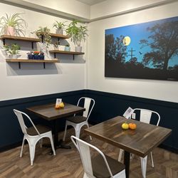 Midnight Owl Brewing