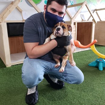 Puppy City - Pet Stores Near Me - Miami, Florida Puppy City - Pet Stores Near Me - Miami, Florida