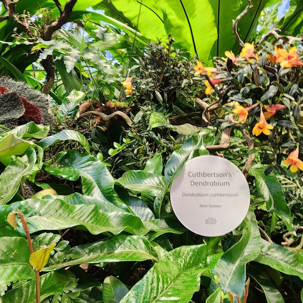 Amazon Spheres - Botanical Gardens Near Me - Seattle, Washington Amazon Spheres - Botanical Gardens Near Me - Seattle, Washington