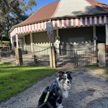 Tom Mankiewicz Conservation Carousel - My Foster girl Fig at the Merry Go Round Griffith Park 1.7.26 - Carousels Near Me - Los Angeles, California Tom Mankiewicz Conservation Carousel - My Foster girl Fig at the Merry Go Round Griffith Park 1.7.26 - Carousels Near Me - Los Angeles, California
