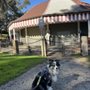 Photo of Tom Mankiewicz Conservation Carousel