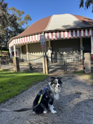 Tom Mankiewicz Conservation Carousel by null
