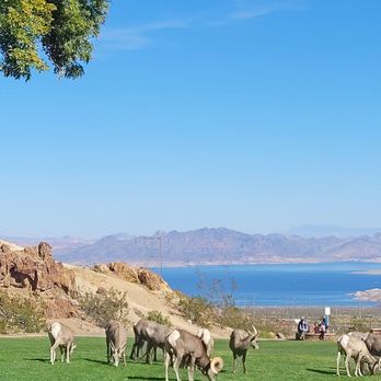 Hemenway Valley Park - Recreation Centers Near Me - Boulder City, Nevada Hemenway Valley Park - Recreation Centers Near Me - Boulder City, Nevada