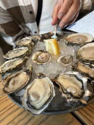 Taylor Shellfish Oyster Bar by null