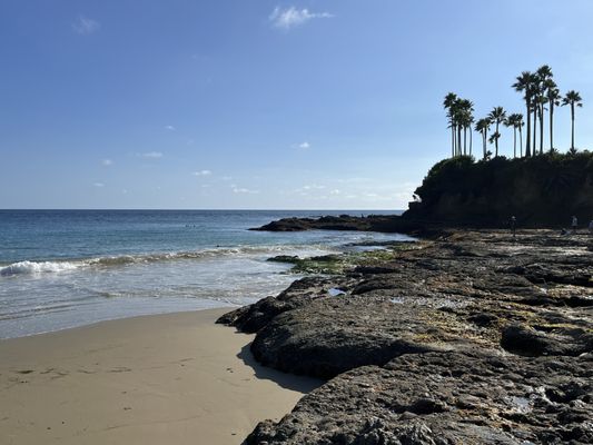 Shaws Cove by null
