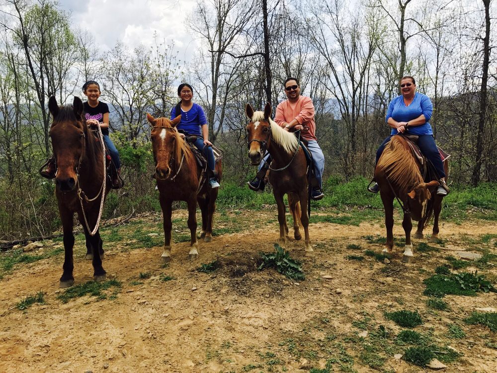 QUEEN’S FARM STABLES CLOSED 23 Photos & 19 Reviews 2180 Dellwood