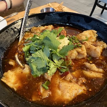 Hi Trendy Dumpling - Spicy Boiled Fish - Szechuan Near Me - Houston, Texas Hi Trendy Dumpling - Spicy Boiled Fish - Szechuan Near Me - Houston, Texas