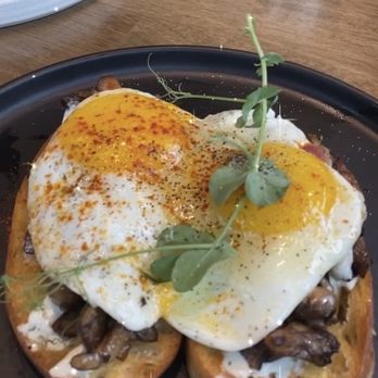 OLIVIA - Wild Mushroom Crostinos (liked it, looking forward to trying something more flavorful next time) - Italian Near Me - Tampa, Florida OLIVIA - Wild Mushroom Crostinos (liked it, looking forward to trying something more flavorful next time) - Italian Near Me - Tampa, Florida