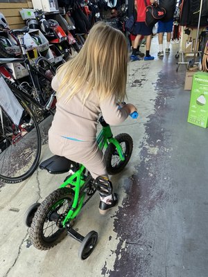 Stotts Bicycles by null
