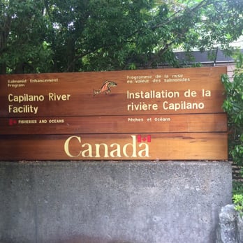 Capilano Salmon Hatchery - Parks Near Me - North Vancouver, British Columbia Capilano Salmon Hatchery - Parks Near Me - North Vancouver, British Columbia