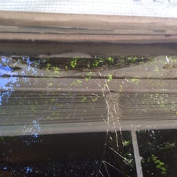 The walls are falling apart due to no gutter and water rushing onto the windows. Pure neglect The walls are falling apart due to no gutter and water rushing onto the windows. Pure neglect
