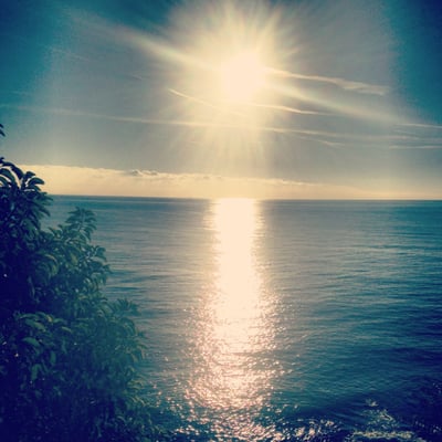 Hôtel Restaurant Mariosa by null