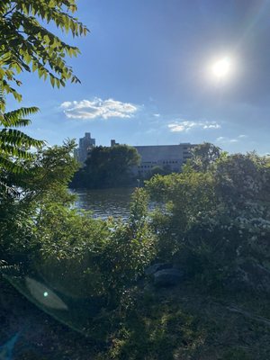 Penn Treaty Park by null