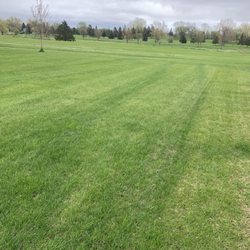 Lakes Area Landscape - Green streaks