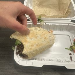 The "gyro" The "gyro"