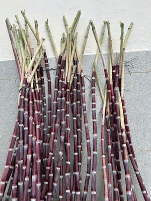 Alhambra Farmers Market by null