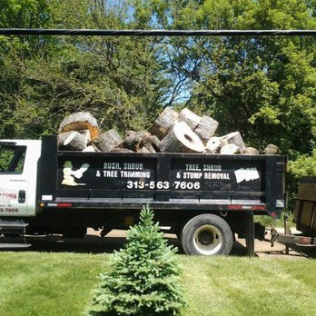 Dearborn Tree Service - Tree Services Near Me - Westland, Michigan